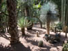 Marrakech, Jardin Majorelle